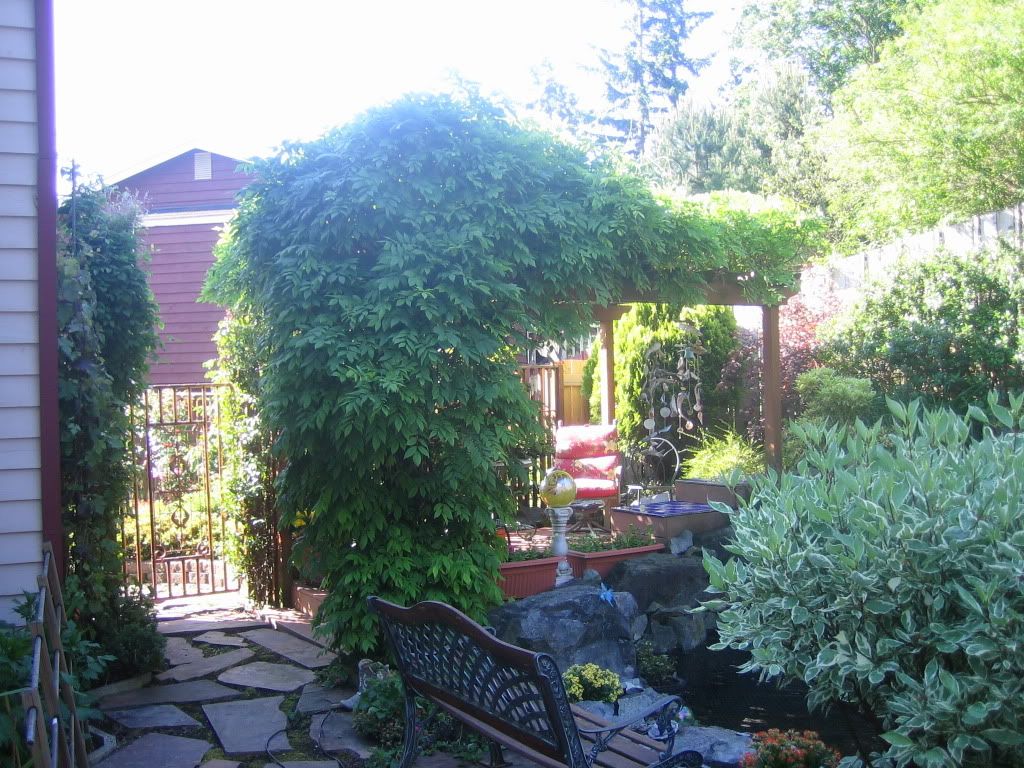 Pond Area photo IMG_4079.jpg